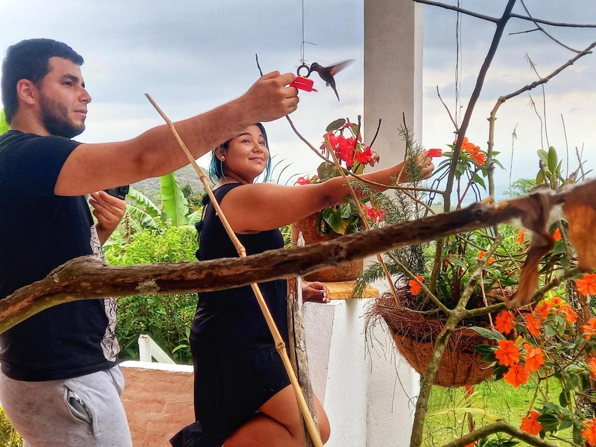 Apartment Cristal House Glamping At Migelita Palmira (Valle del Cauca)