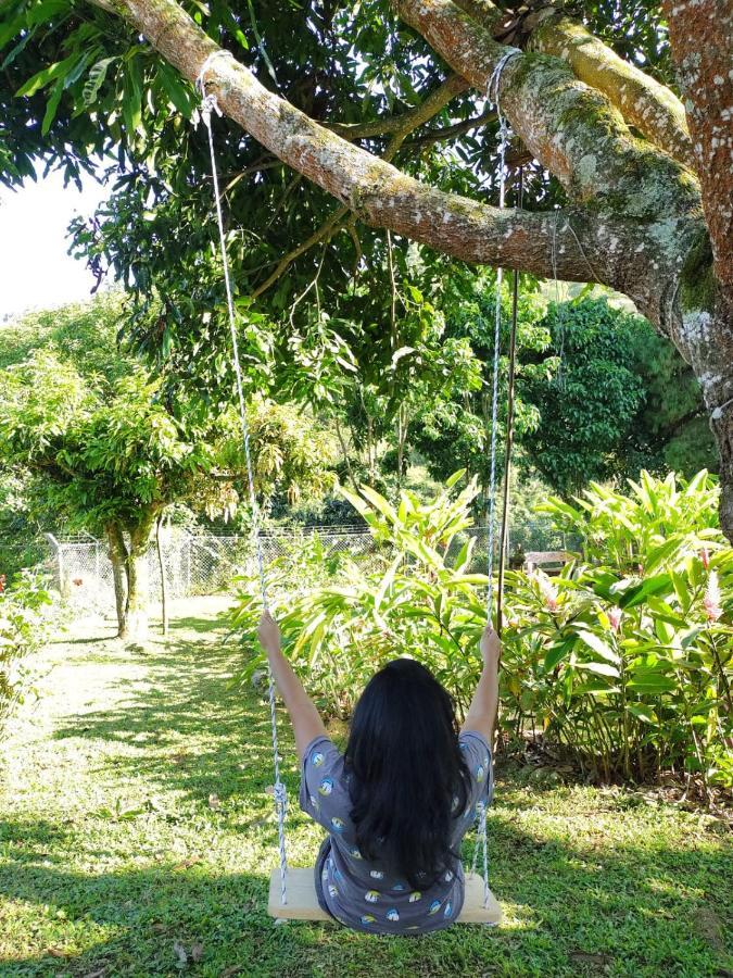 Cristal House Glamping At Migelita Apartment Palmira (Valle del Cauca)